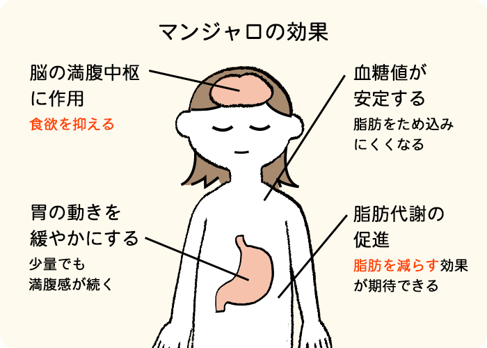 マンジャロの期待できる効果