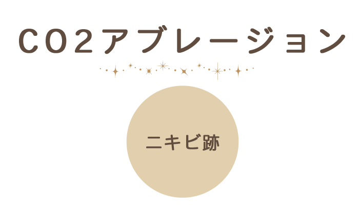 CO2アブレージョン