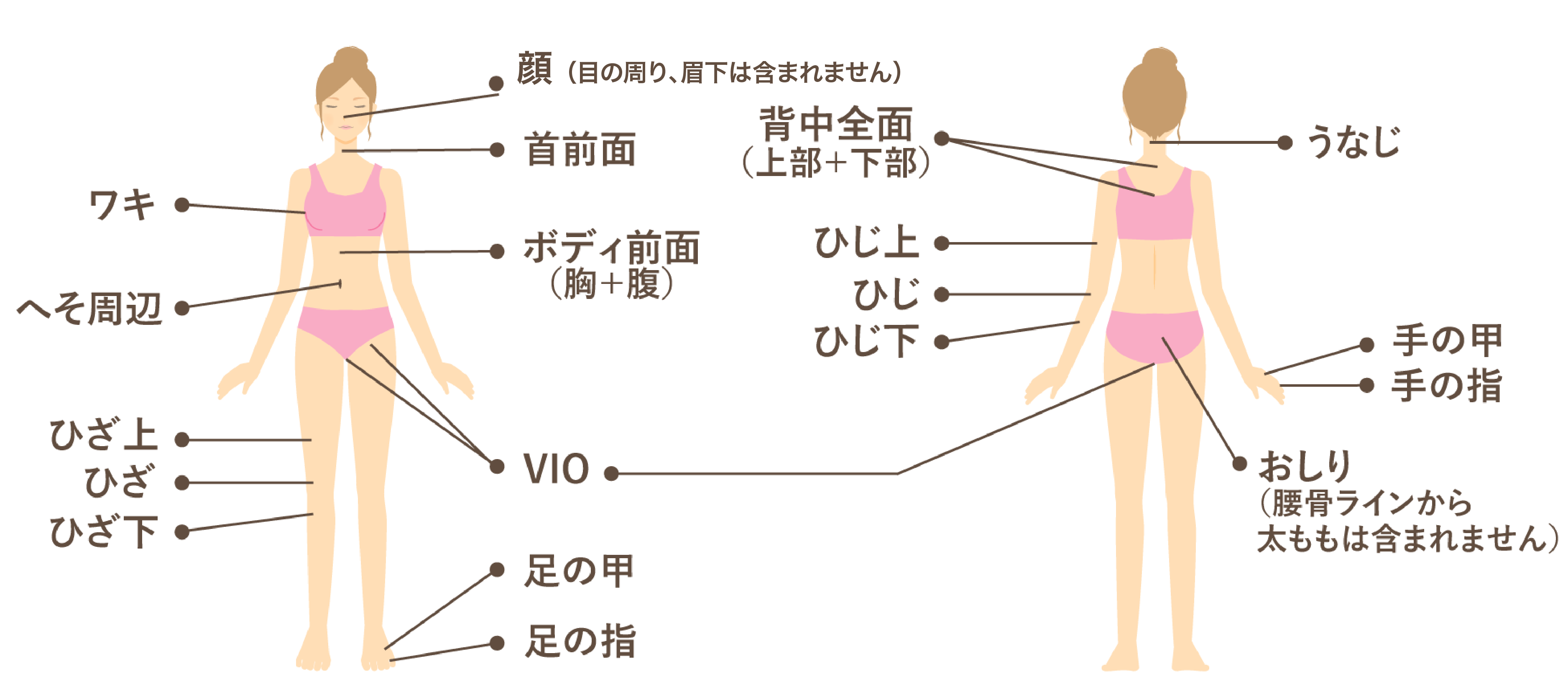 全身プレミアムコース（体＋首前面＋うなじ＋VIO＋顔）イラスト